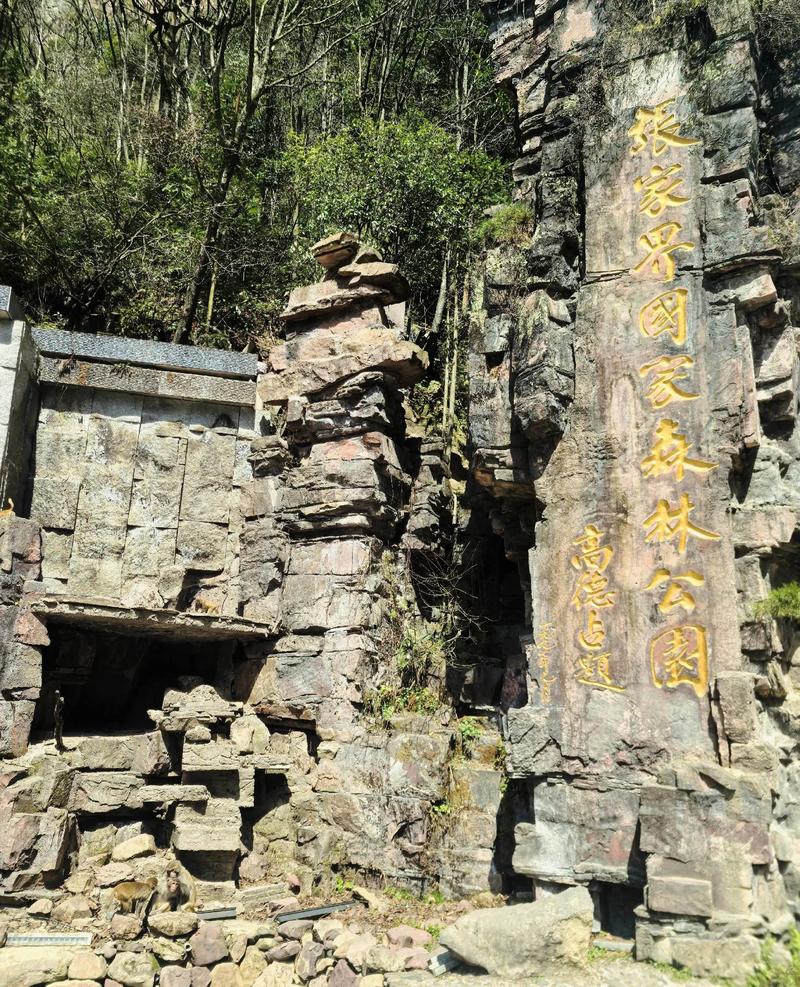 西双版纳旅游大巴：开启热带风情之旅