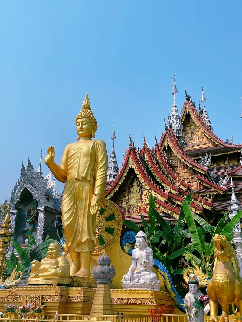 旅游客运行业：开启美好旅行的新篇章
